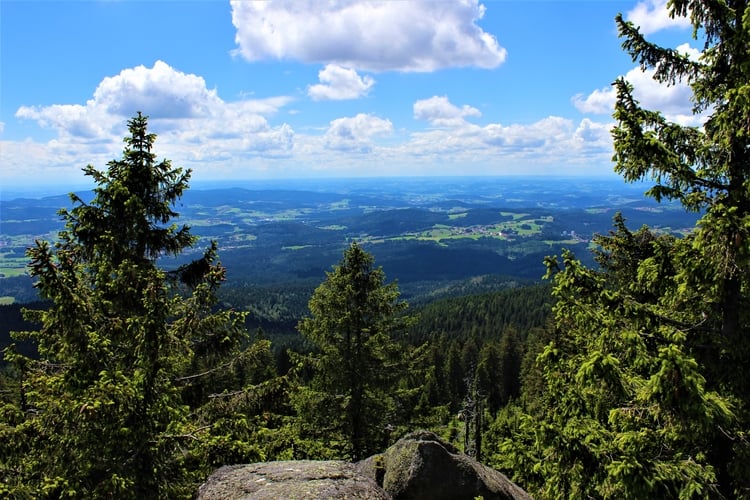 Webp.net-resizeimage (38) Webp.net-resizeimage (38)